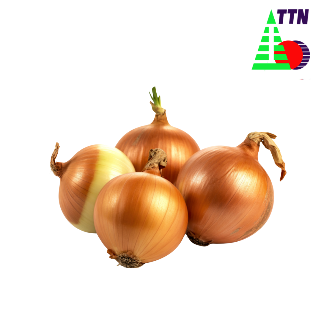 Hương Hành Tây