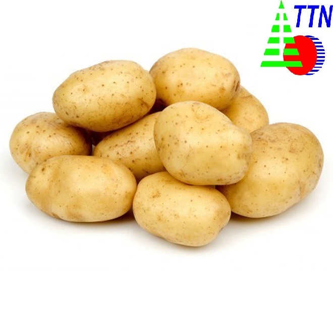 Potato Starch